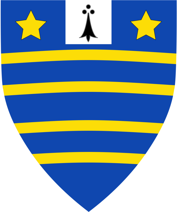 Shield image