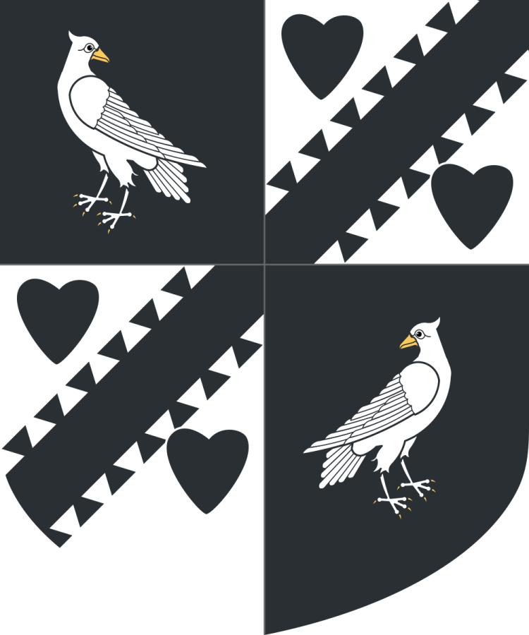 Shield image