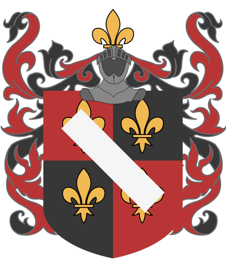 Shield image