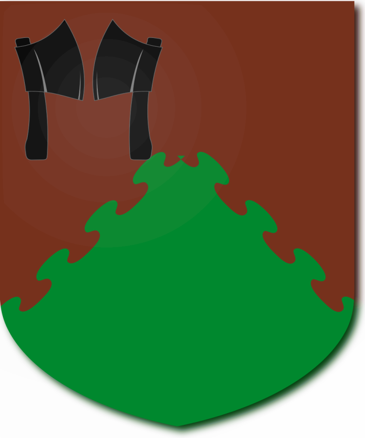 Shield image