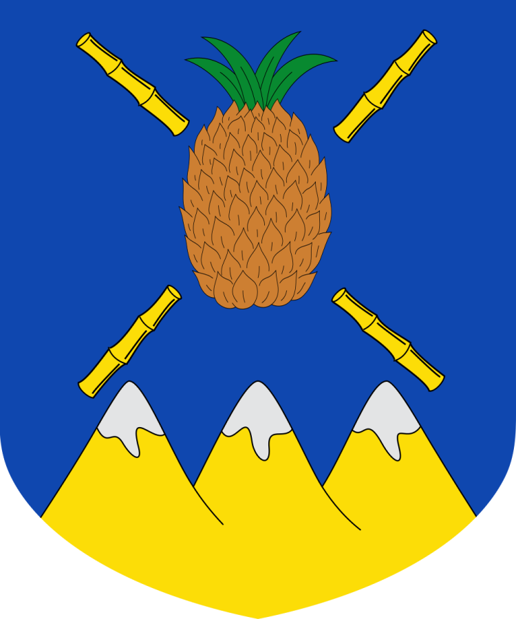 Shield image