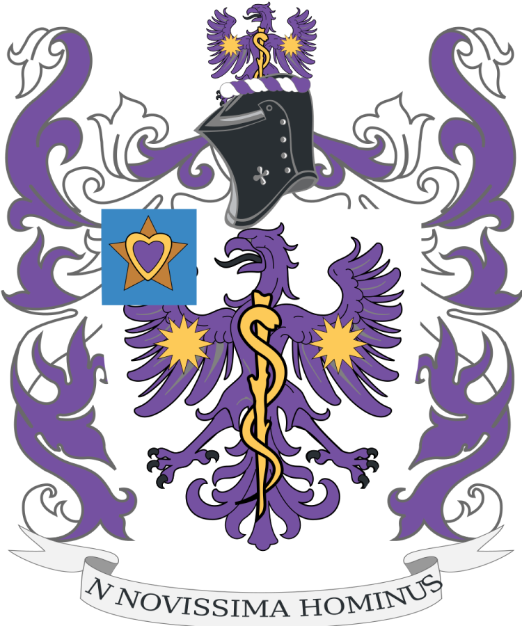 Shield image