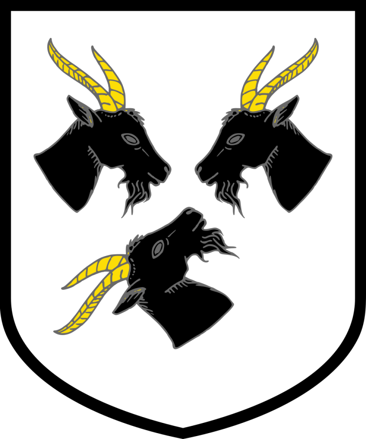 Shield image