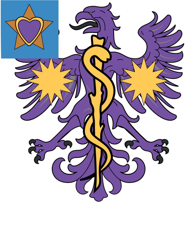 Shield image