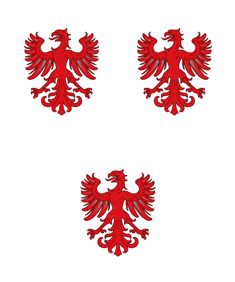 Shield image