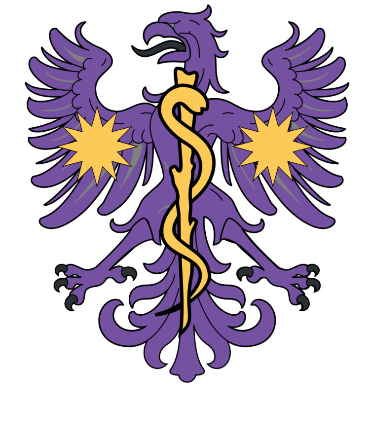 Shield image