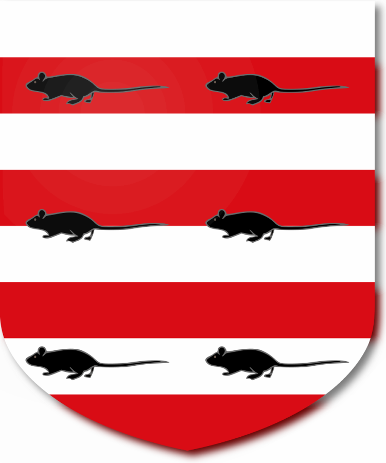 Shield image