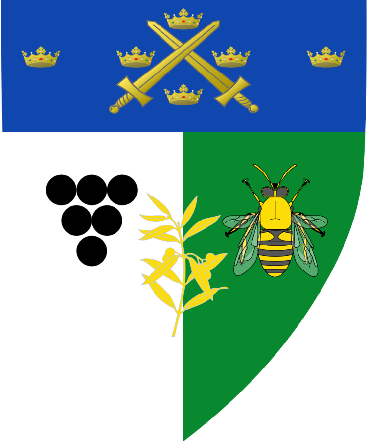 Shield image