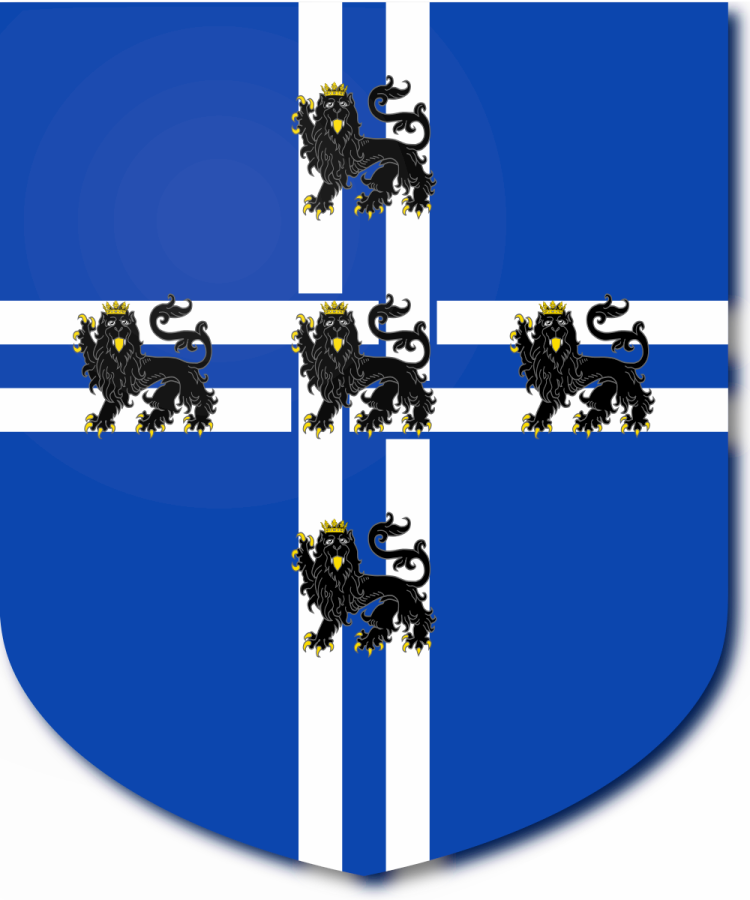 Shield image