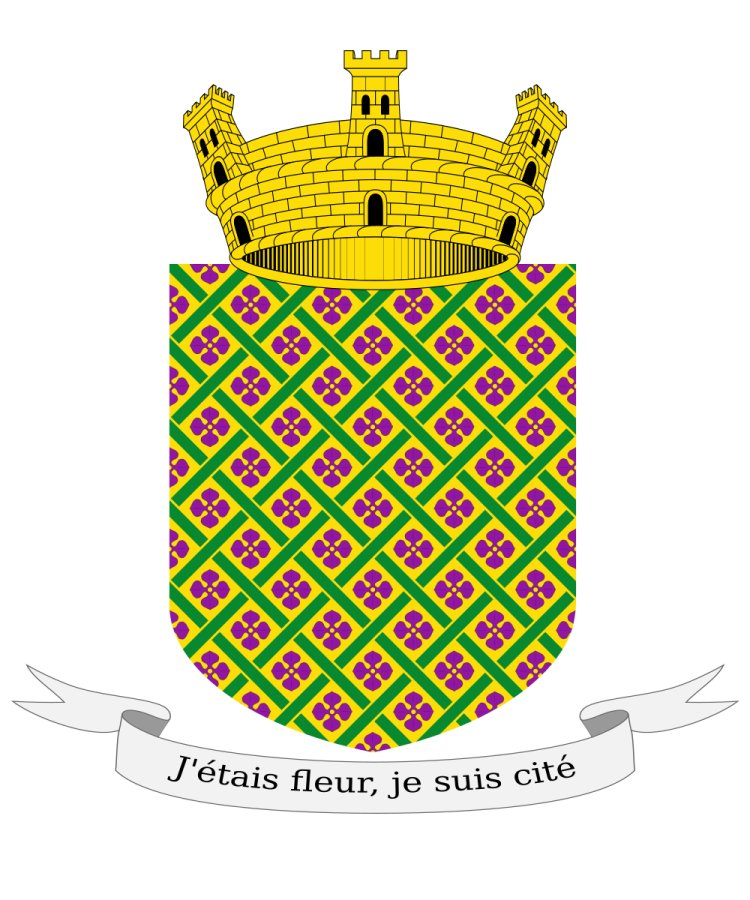 Shield image