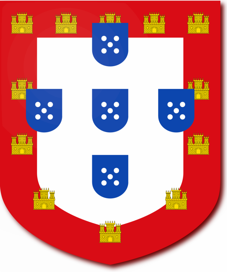 Shield image