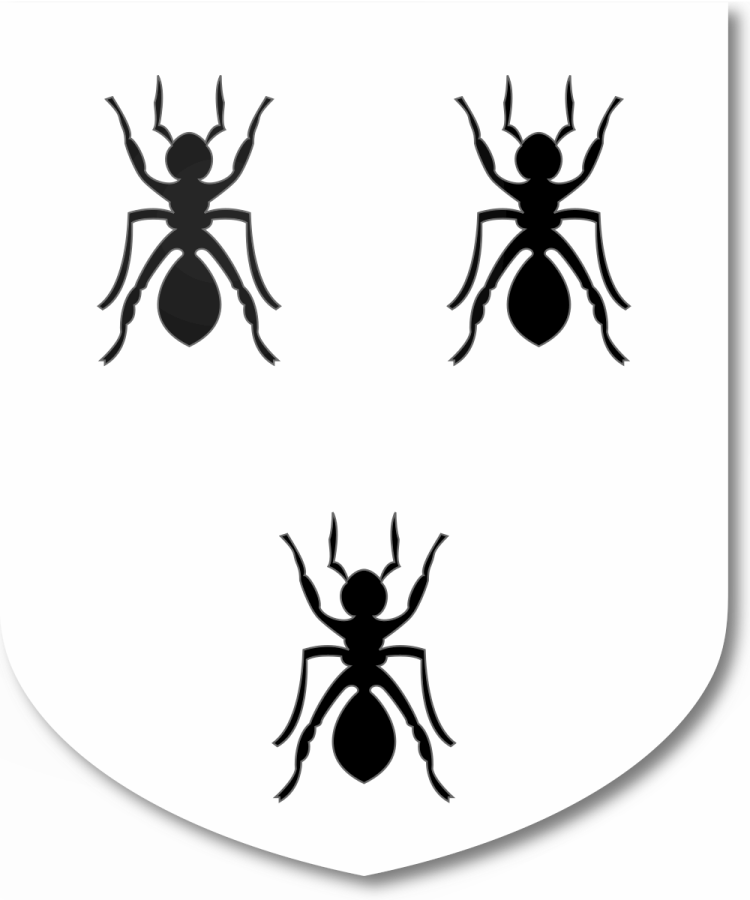 Shield image