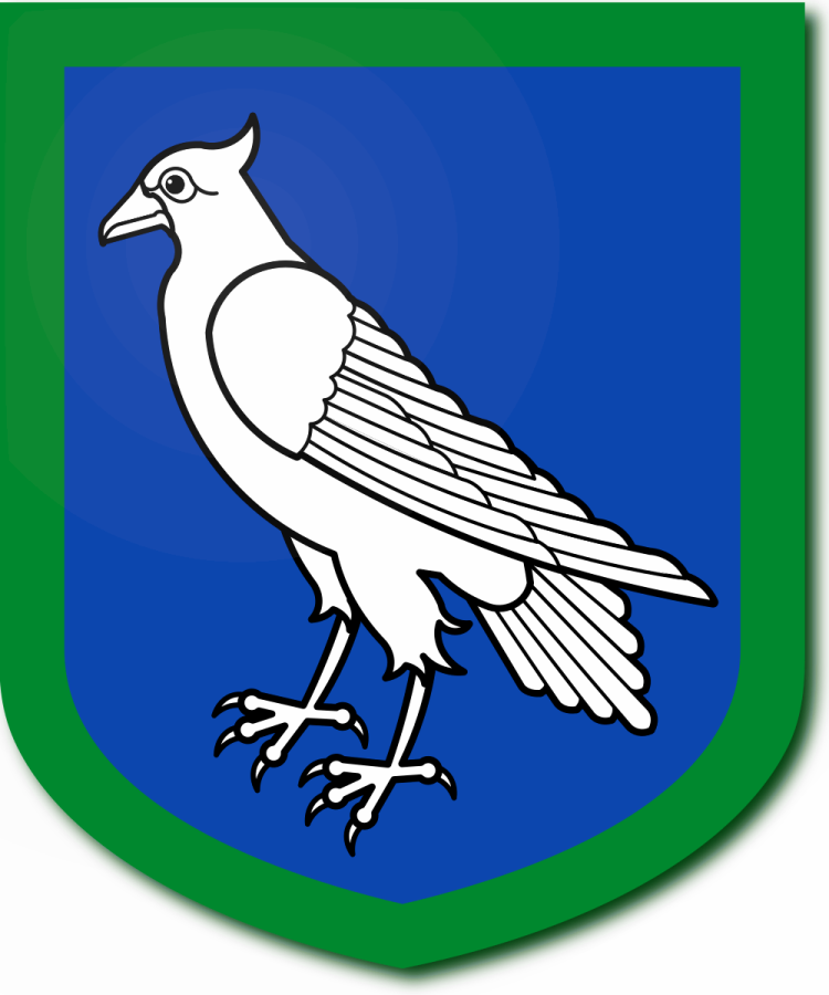 Shield image