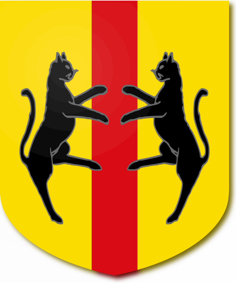 Shield image