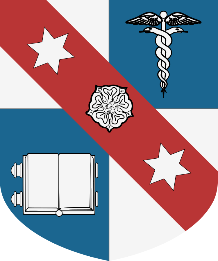 Shield image