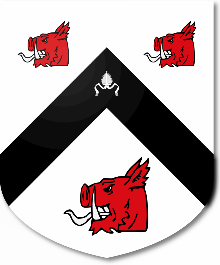 Shield image