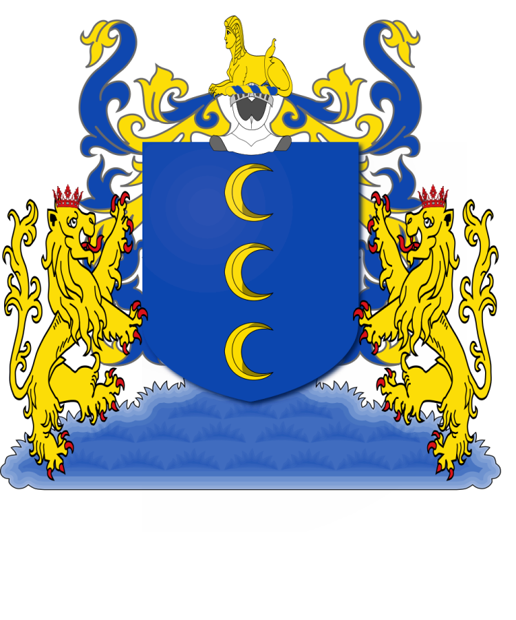 Shield image