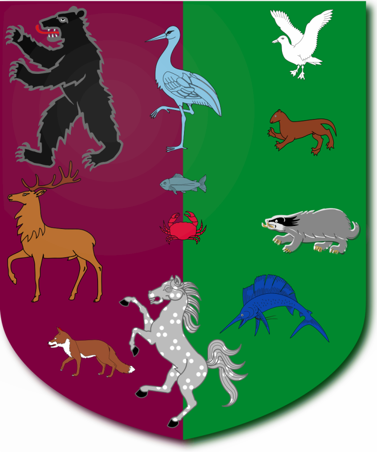 Shield image