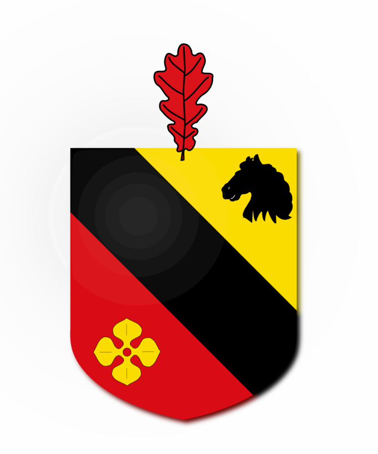 Shield image