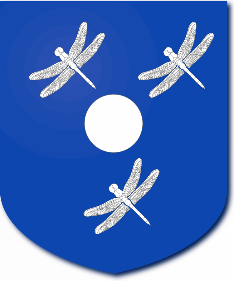 Shield image