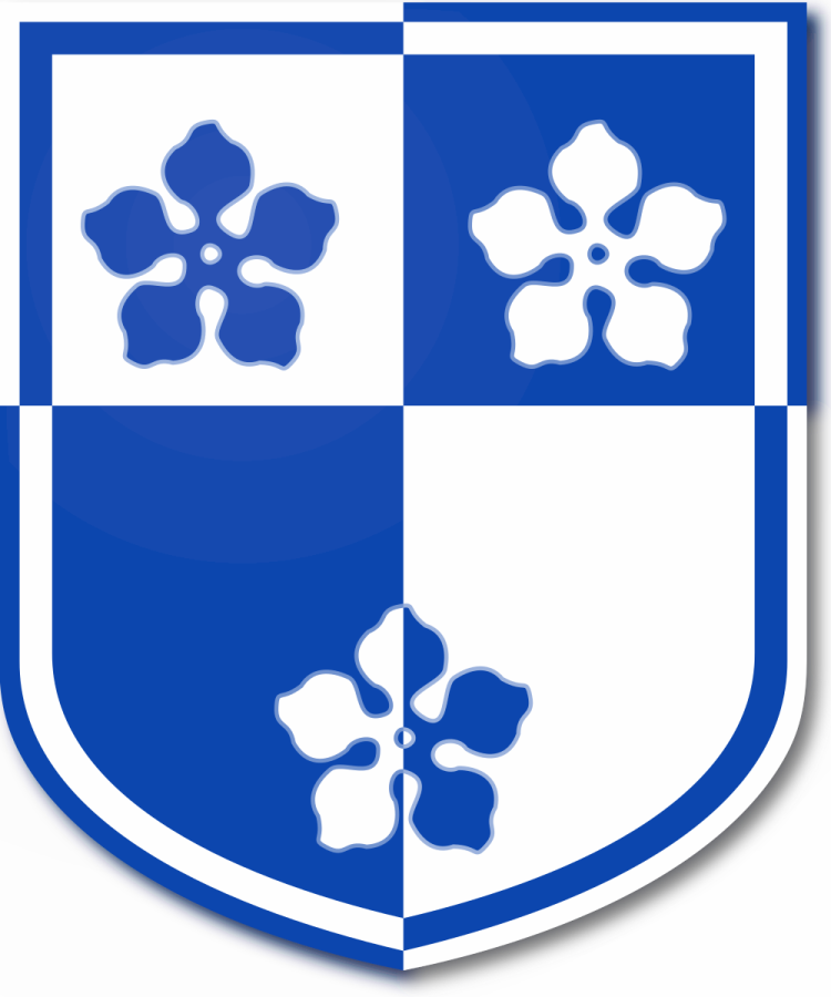 Shield image