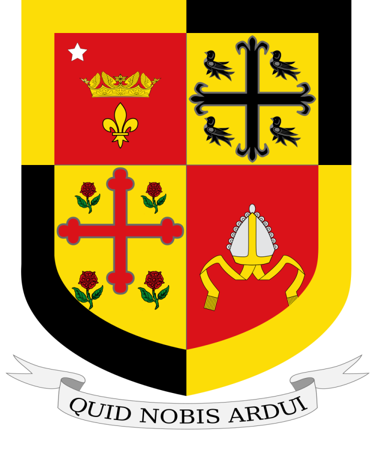 Shield image