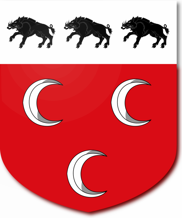 Shield image