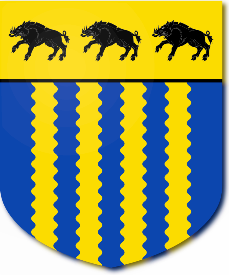 Shield image