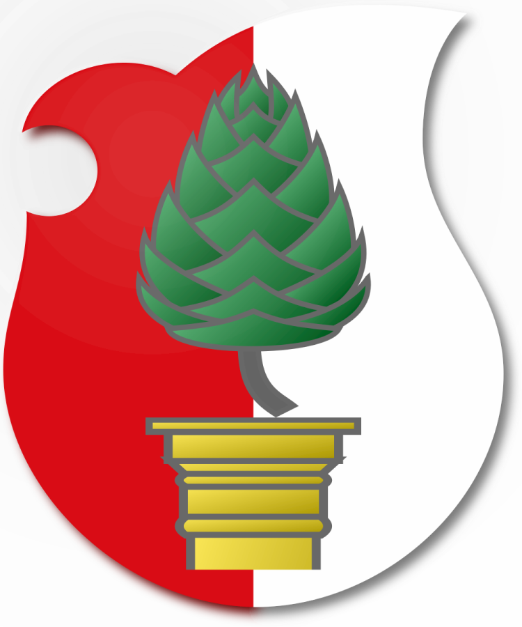 Shield image