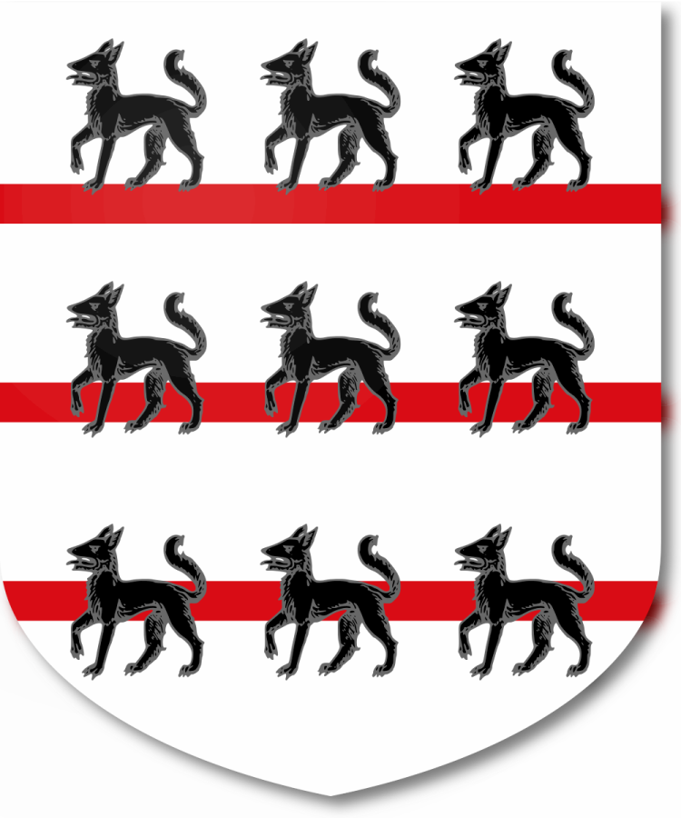 Shield image