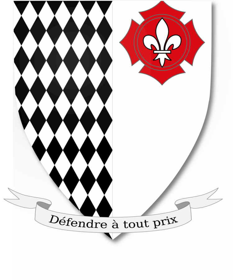 Shield image