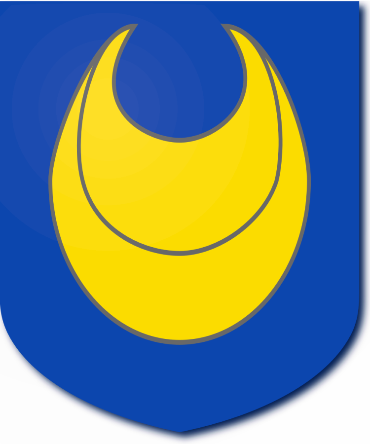 Shield image