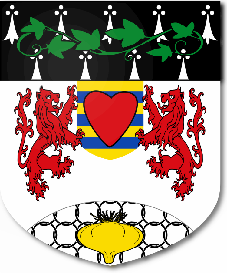 Shield image