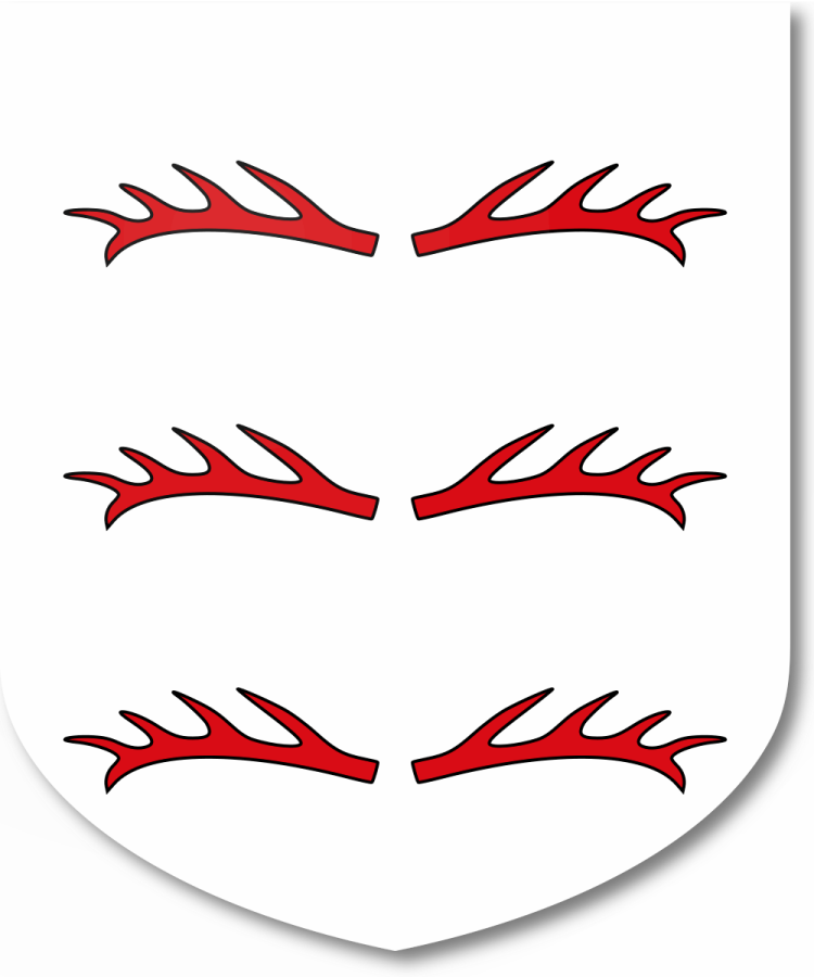 Shield image