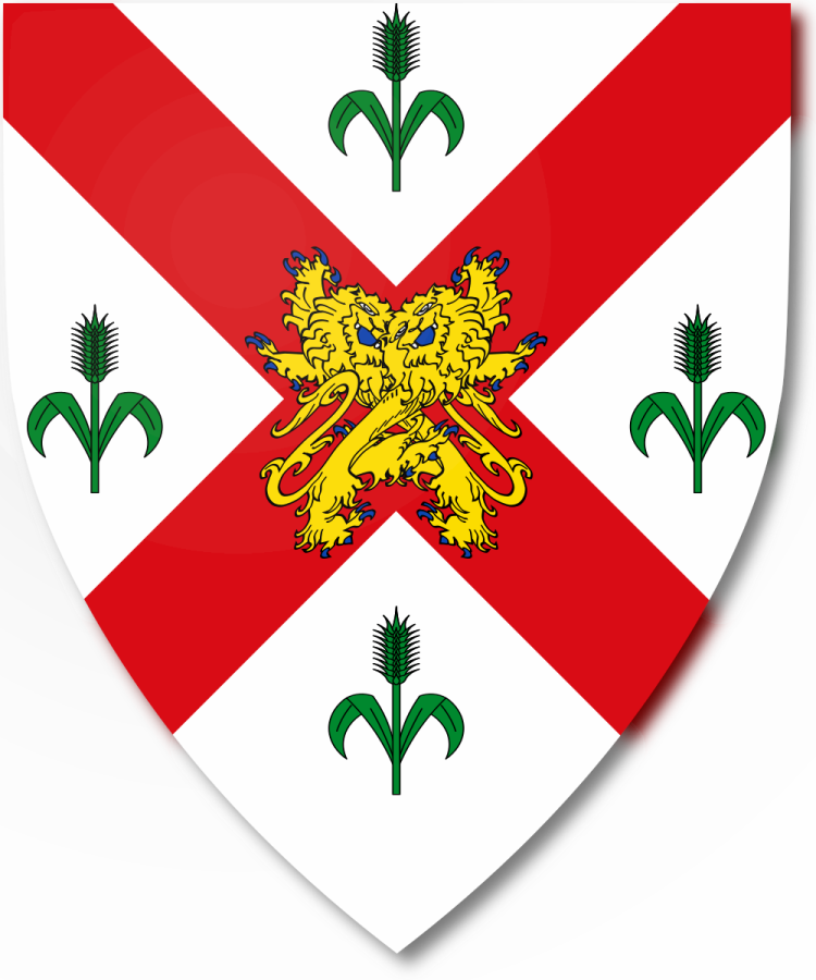 Shield image