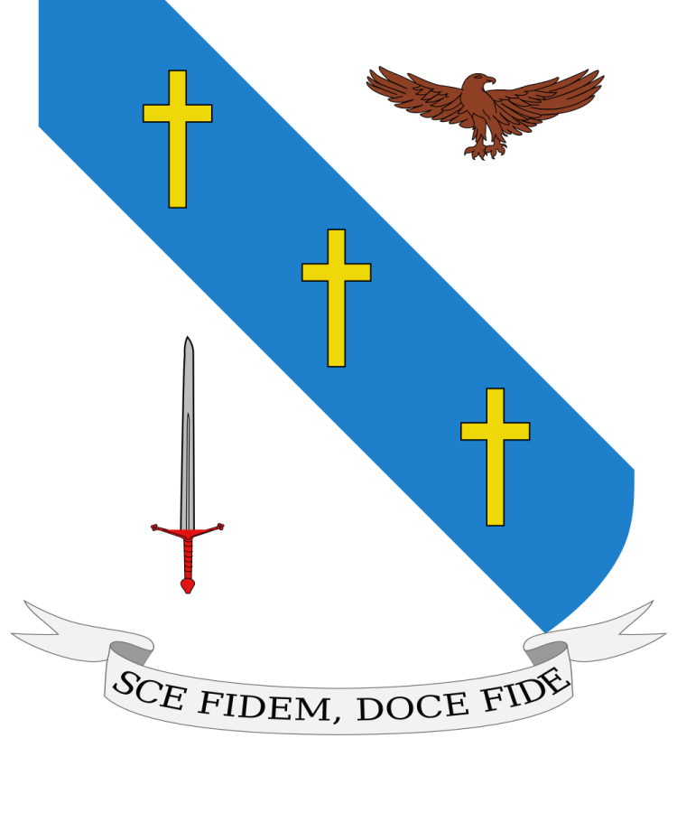 Shield image