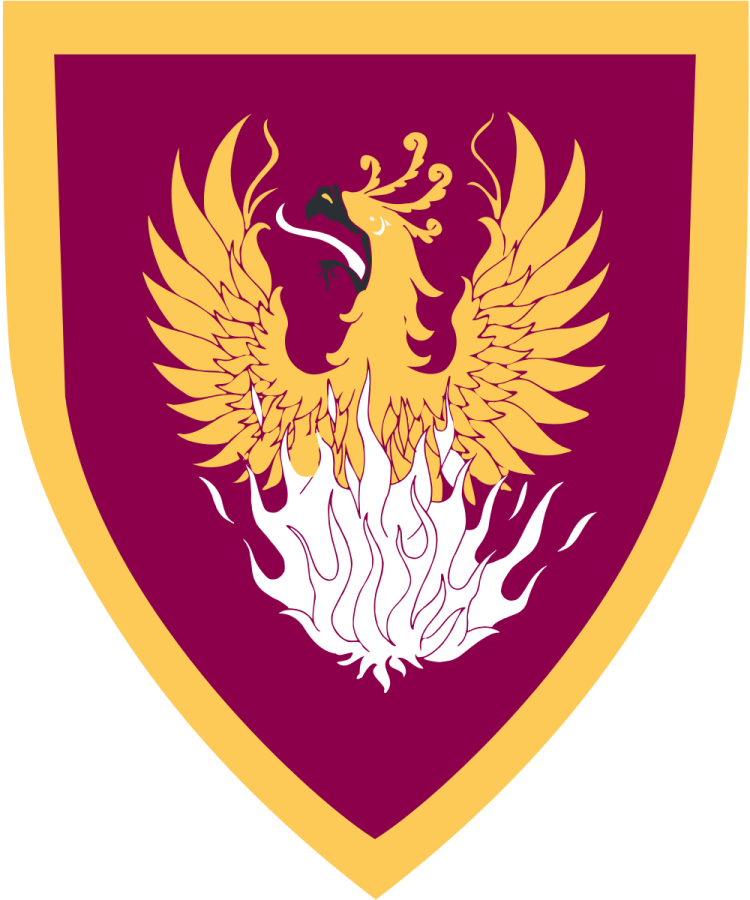 Shield image