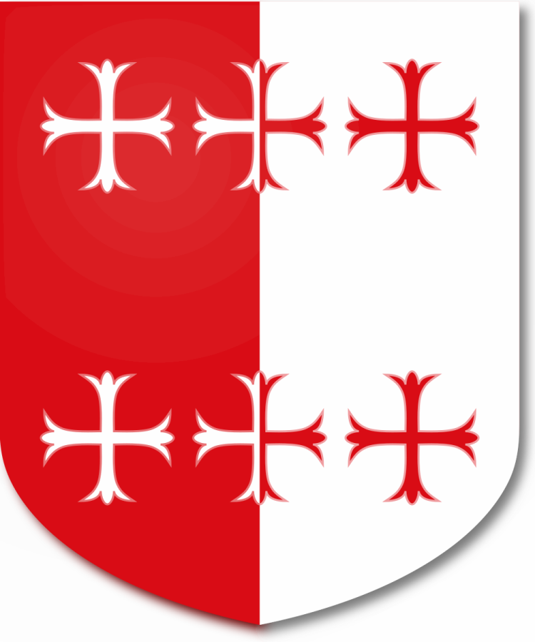 Shield image