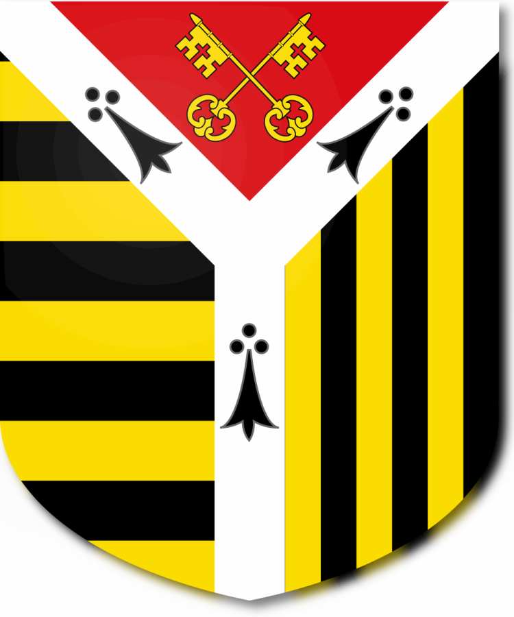 Shield image