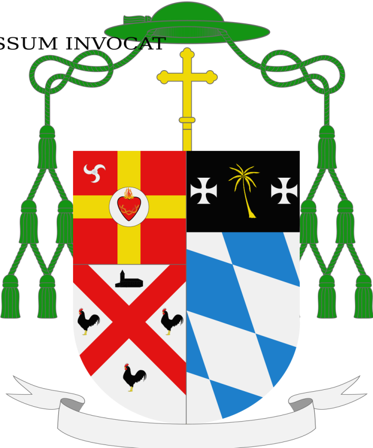 Shield image