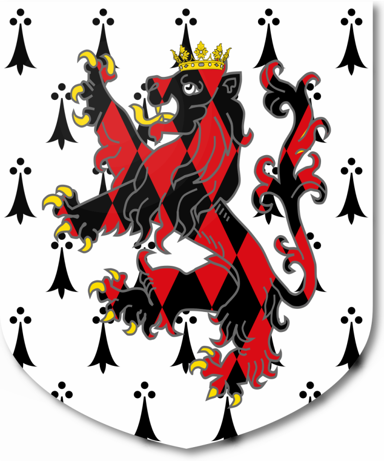 Shield image