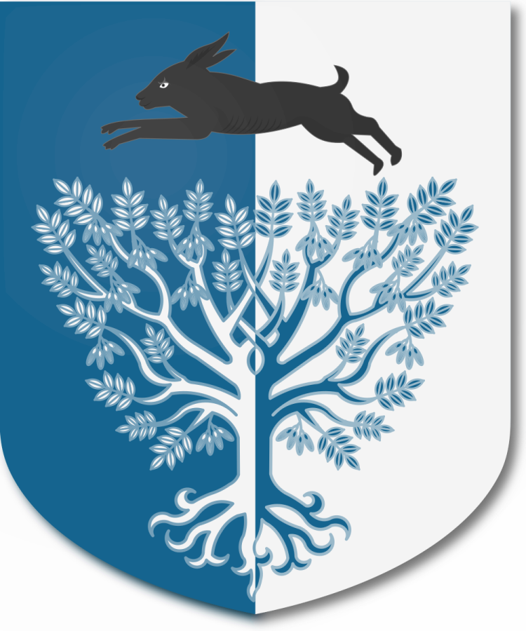 Shield image