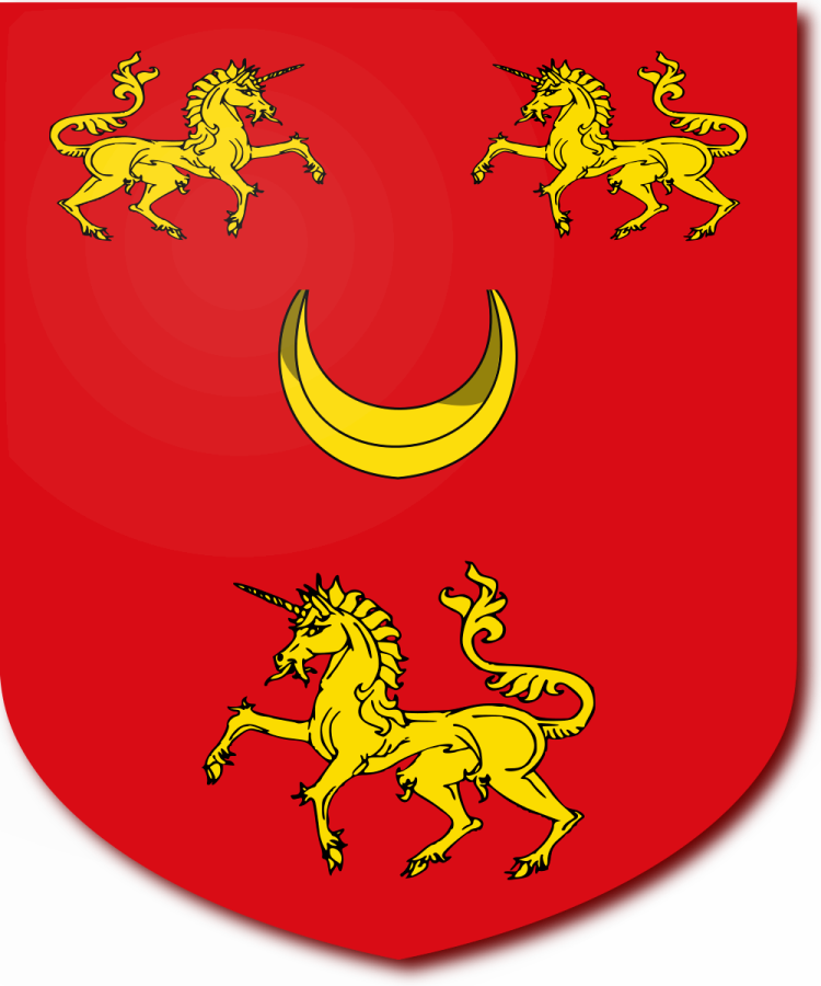 Shield image