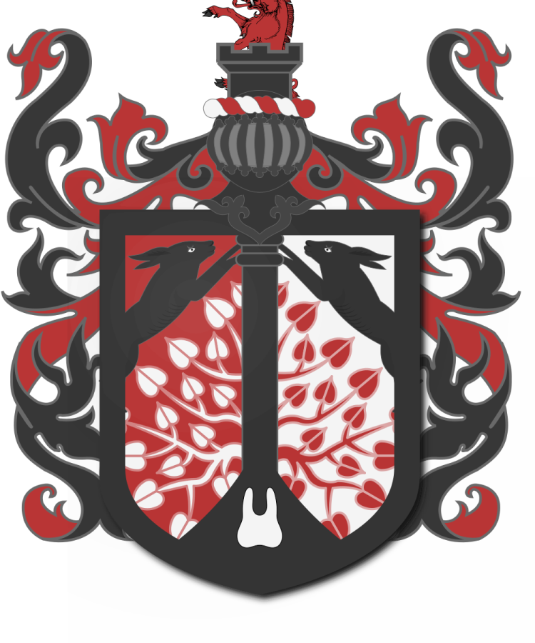 Shield image