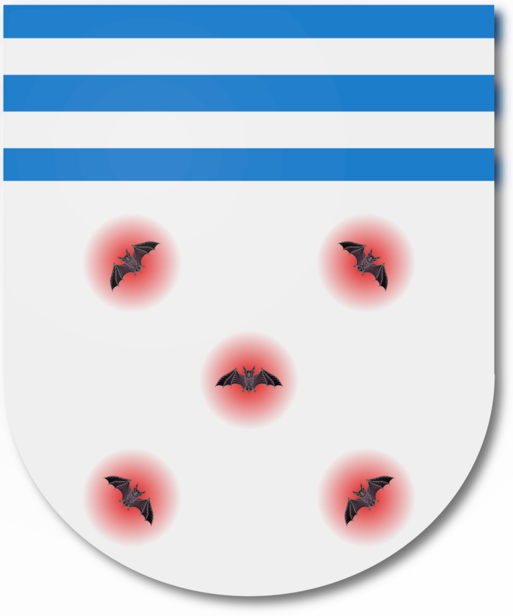 Shield image