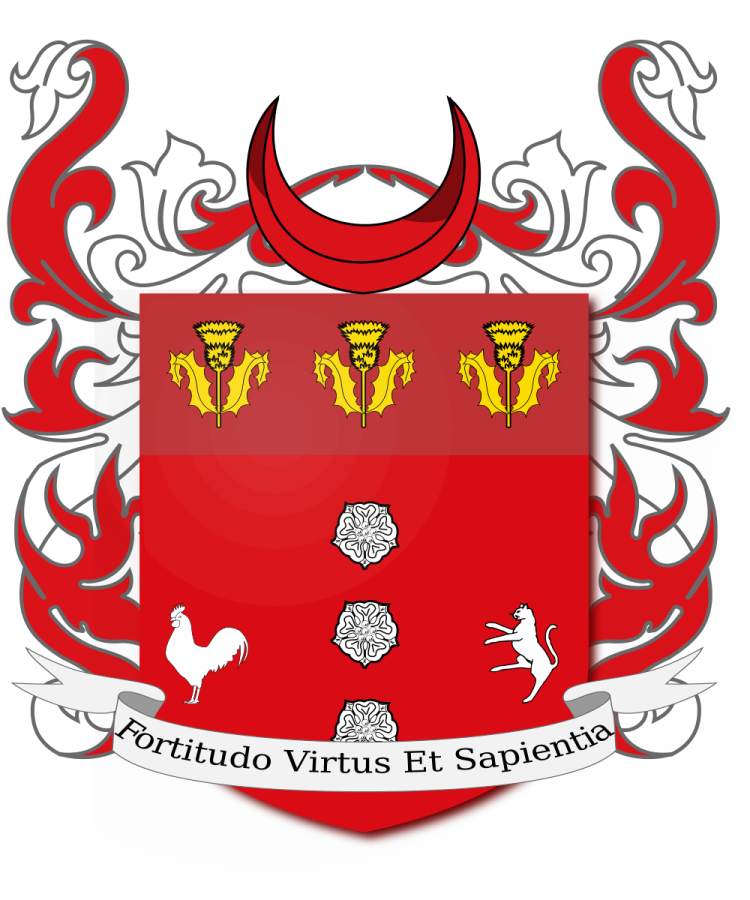 Shield image