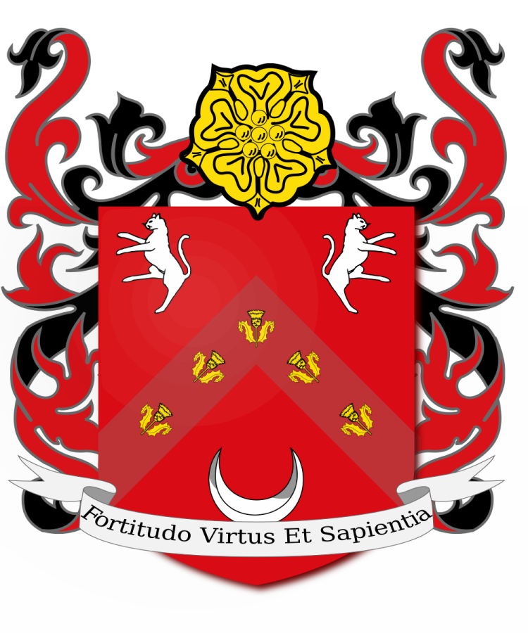 Shield image