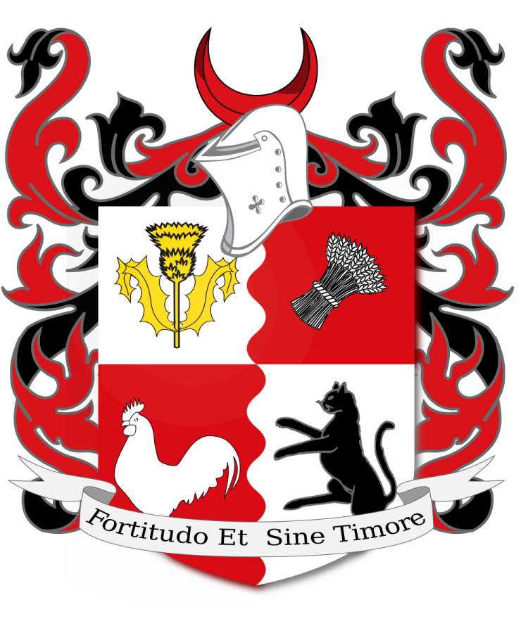 Shield image