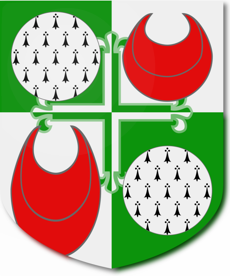 Shield image