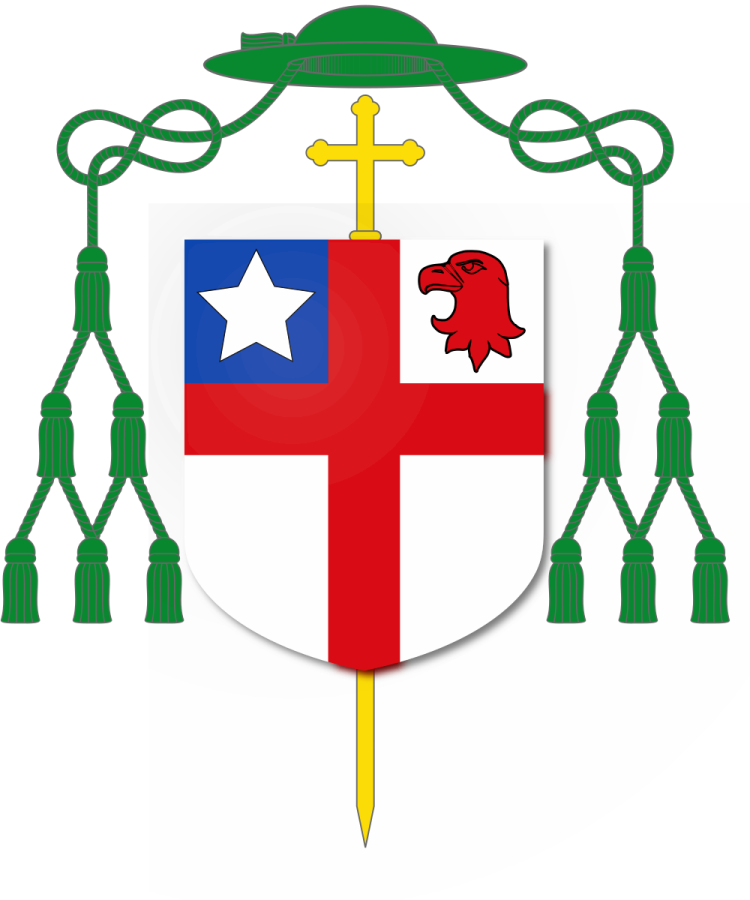 Shield image